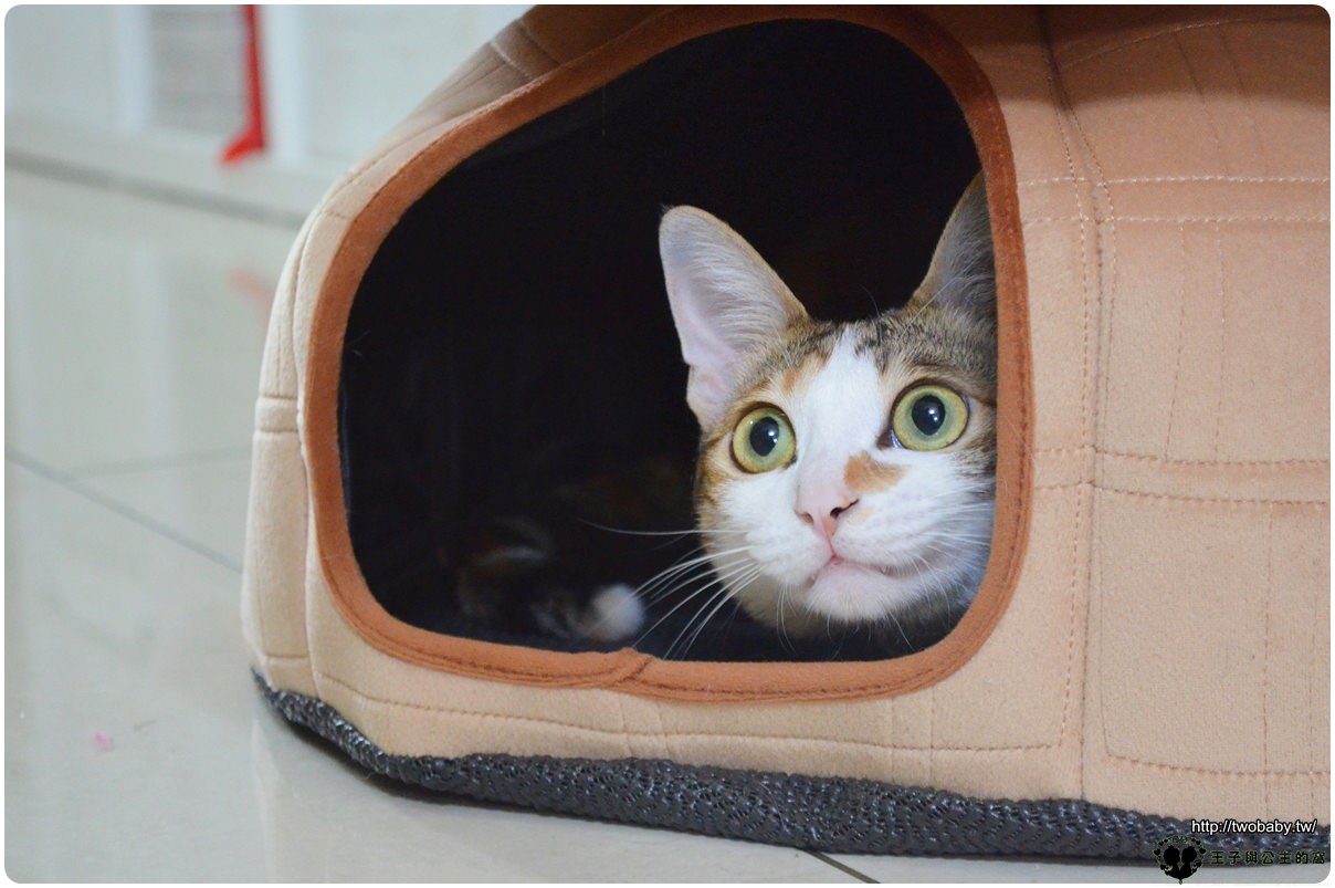 貓睡墊推薦| Lucky Me寵物設計 冰屋- 圓形開口 可拆式床墊 三種不同變化 滿足貓貓的探索慾望