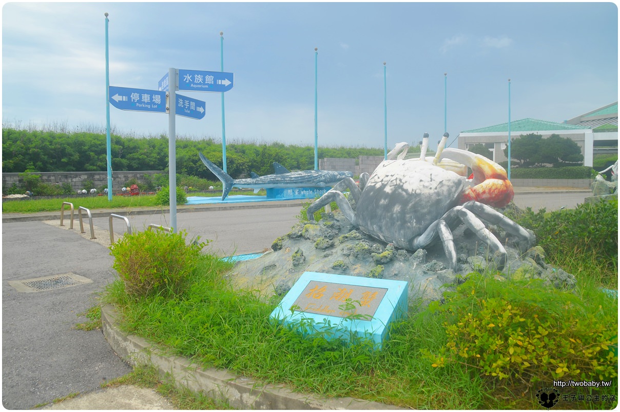 澎湖親子室內景點|澎湖水族館 Penghu aquarium