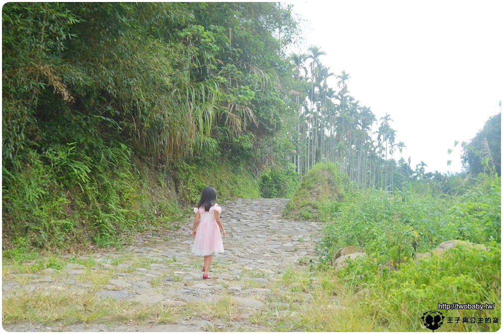 雲林古坑觀光景點|華山文學步道-一條很輕鬆走的優閒親子步道 老少咸宜的華山步道