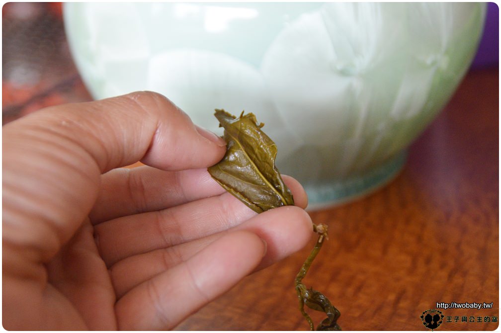 嘉義阿里山百大伴手禮|甘露製茶廠-世代傳承的絕世好茶 得獎的高山茶-石桌甘露茶