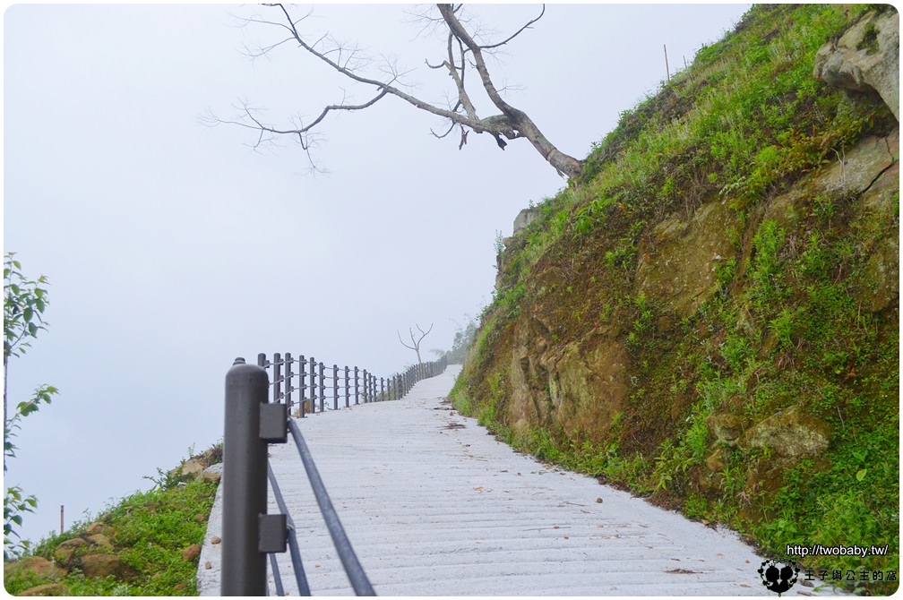 嘉義阿里山全新秘境|公興龍美步道-登山景觀步道 視野廣闊可以看到澎湖花火節