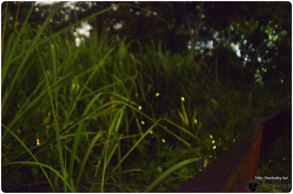 苗栗南庄民宿|蓬萊生態農場仙山民宿 獨棟民宿包棟住宿-超自然環境一開門就可以看到螢火蟲