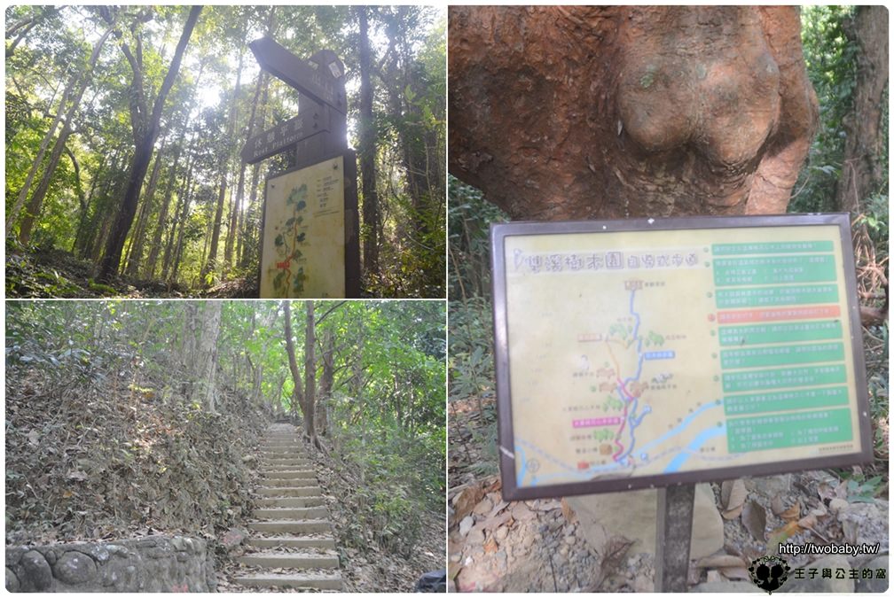 高雄美濃景點|美濃森林步道/自然步道-雙溪樹木園&黃蝶翠谷 高雄森林步道