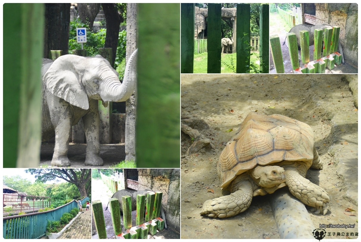 高雄親子景點|高雄市壽山動物園Shou Shan Zoo 小心獼猴出沒