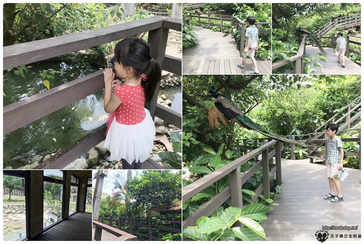 高雄親子景點|高雄市壽山動物園Shou Shan Zoo 小心獼猴出沒
