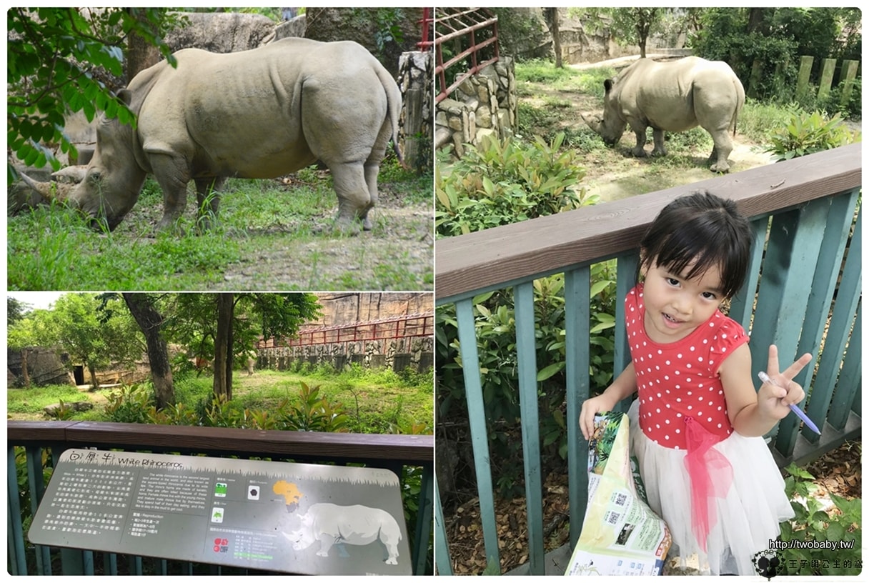 高雄親子景點|高雄市壽山動物園Shou Shan Zoo 小心獼猴出沒