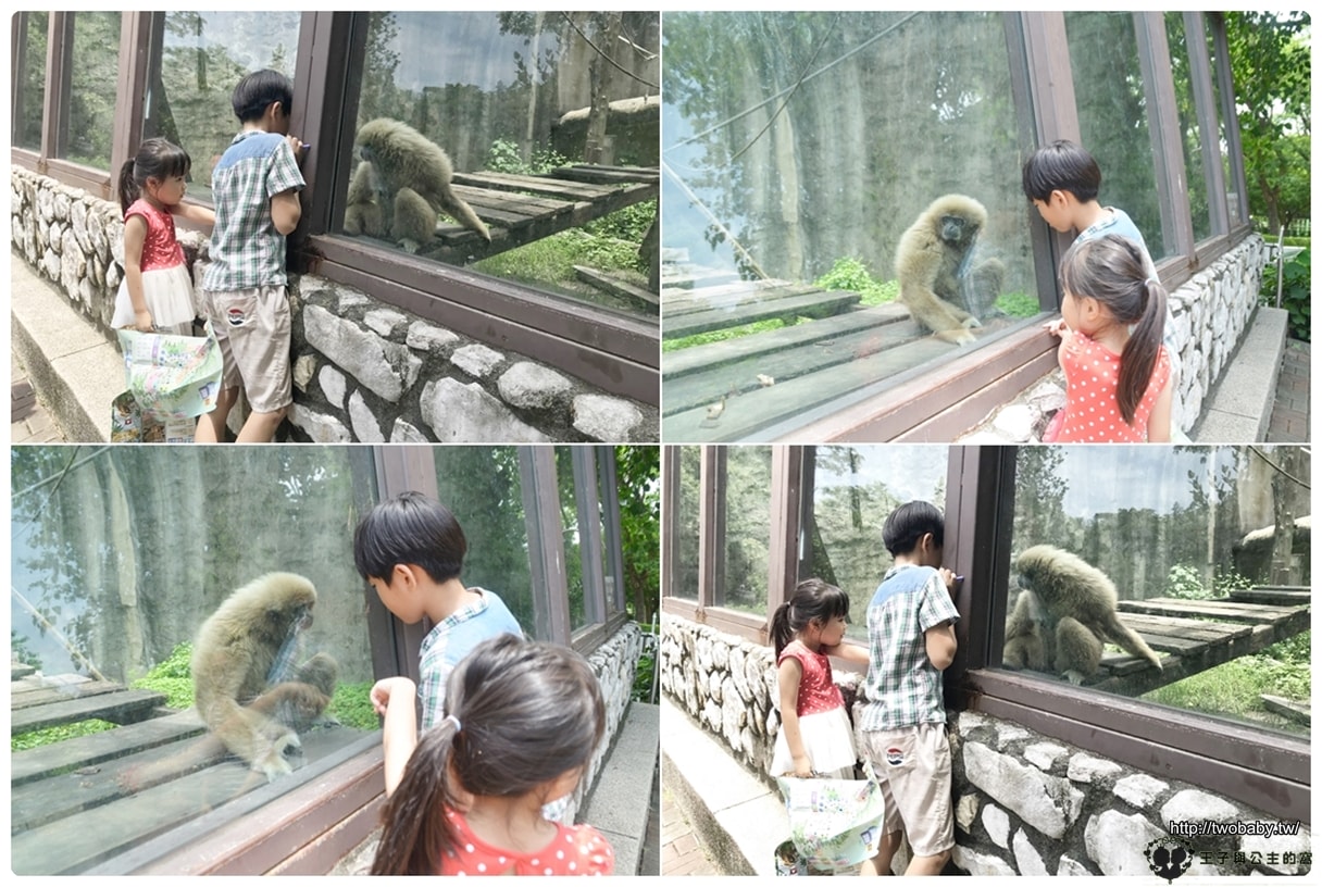 高雄親子景點|高雄市壽山動物園Shou Shan Zoo 小心獼猴出沒