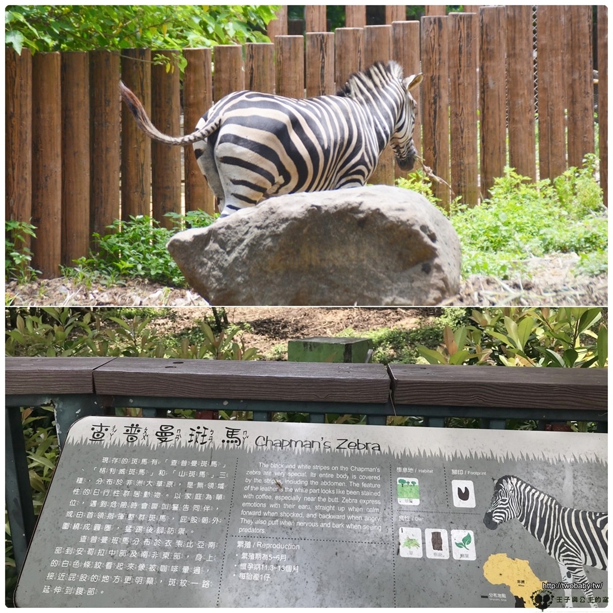 高雄親子景點|高雄市壽山動物園Shou Shan Zoo 小心獼猴出沒