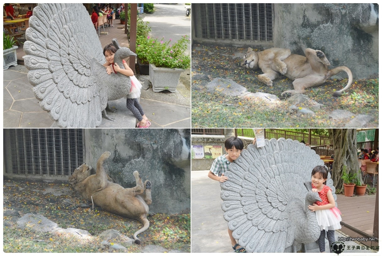 高雄親子景點|高雄市壽山動物園Shou Shan Zoo 小心獼猴出沒