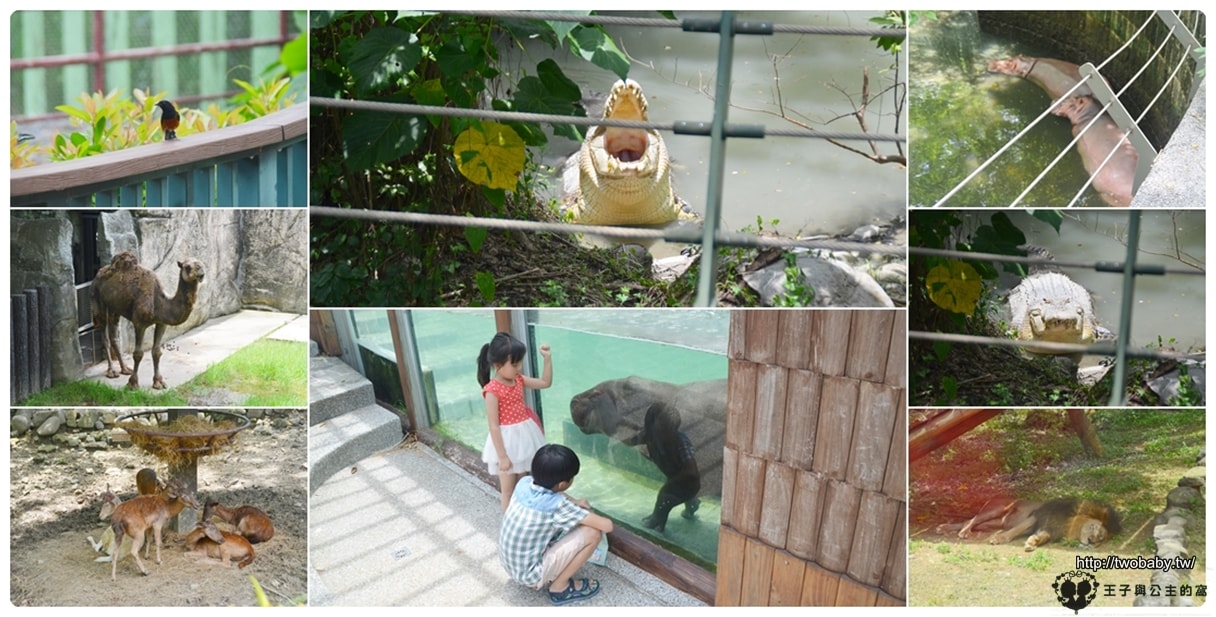 高雄親子景點|高雄市壽山動物園Shou Shan Zoo 小心獼猴出沒