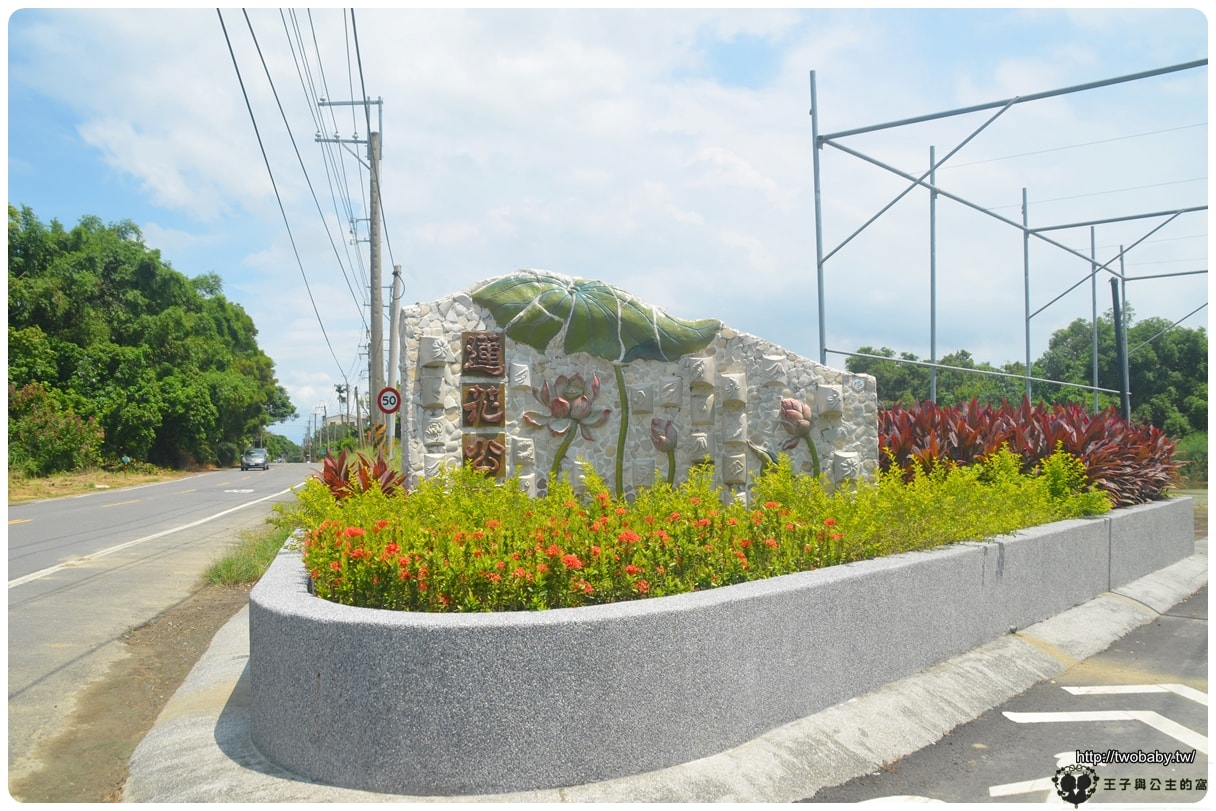 台南親子景點|白河蓮花公園 6~8月蓮花季必賞 每年都有盛典 大王蓮/香水蓮花