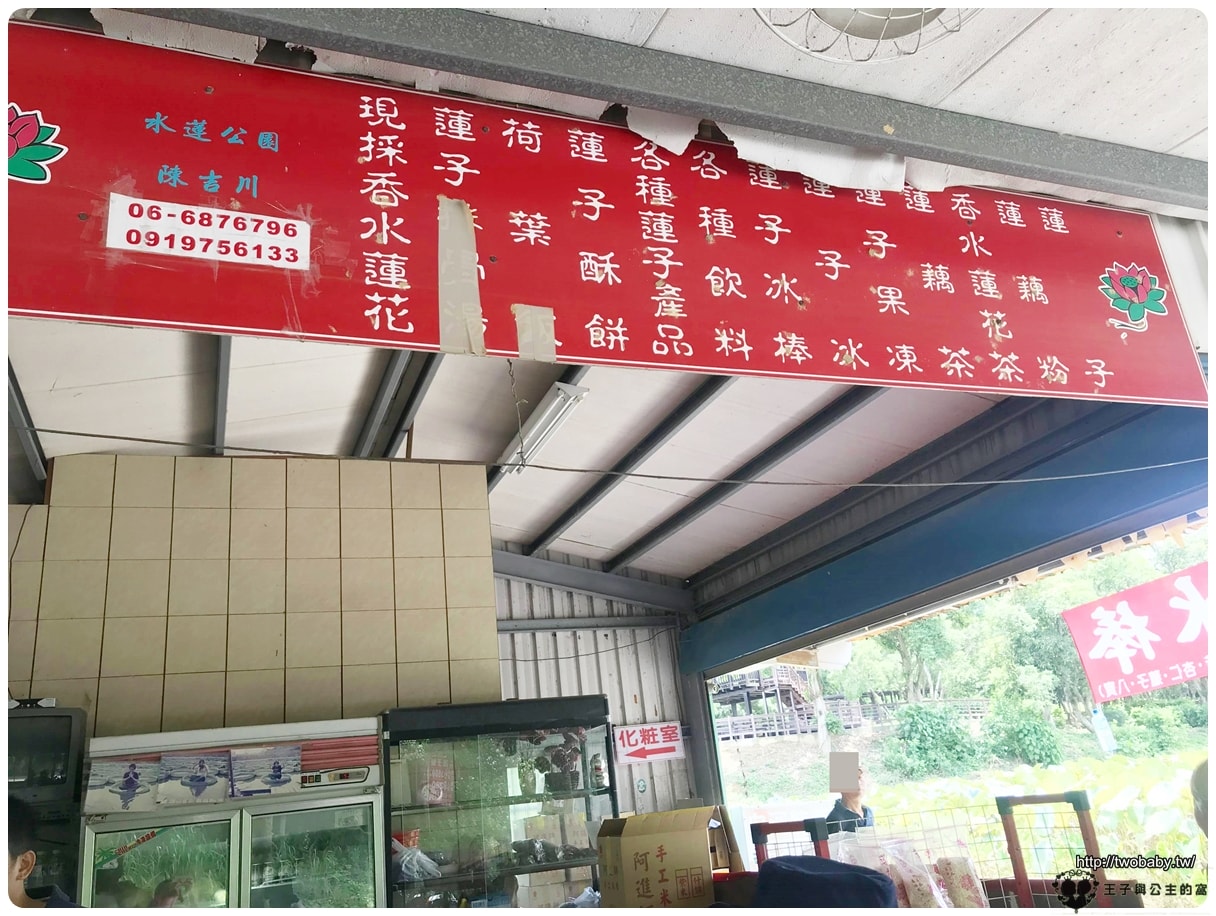 台南親子景點|白河蓮花公園 6~8月蓮花季必賞 每年都有盛典 大王蓮/香水蓮花