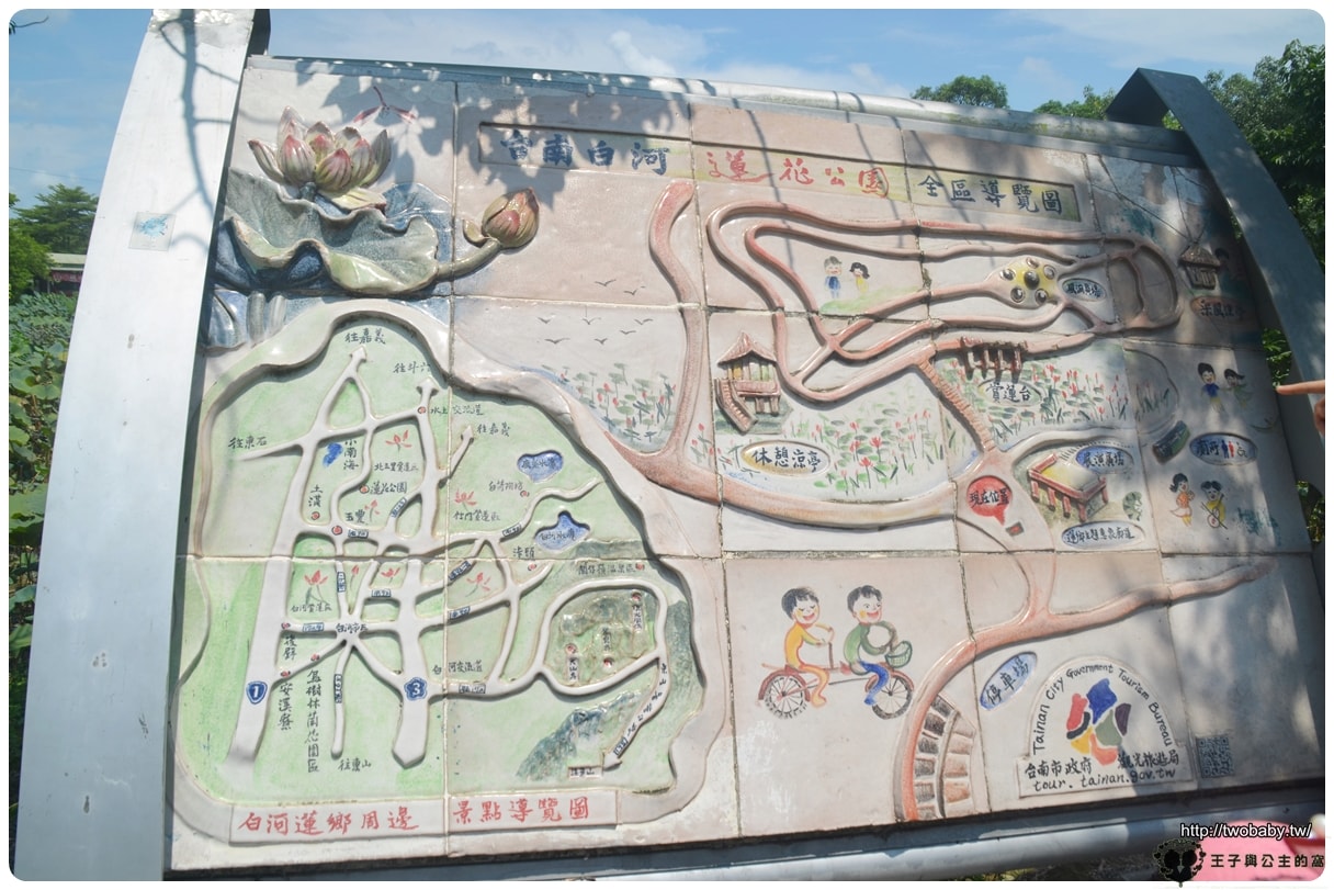 台南親子景點|白河蓮花公園 6~8月蓮花季必賞 每年都有盛典 大王蓮/香水蓮花