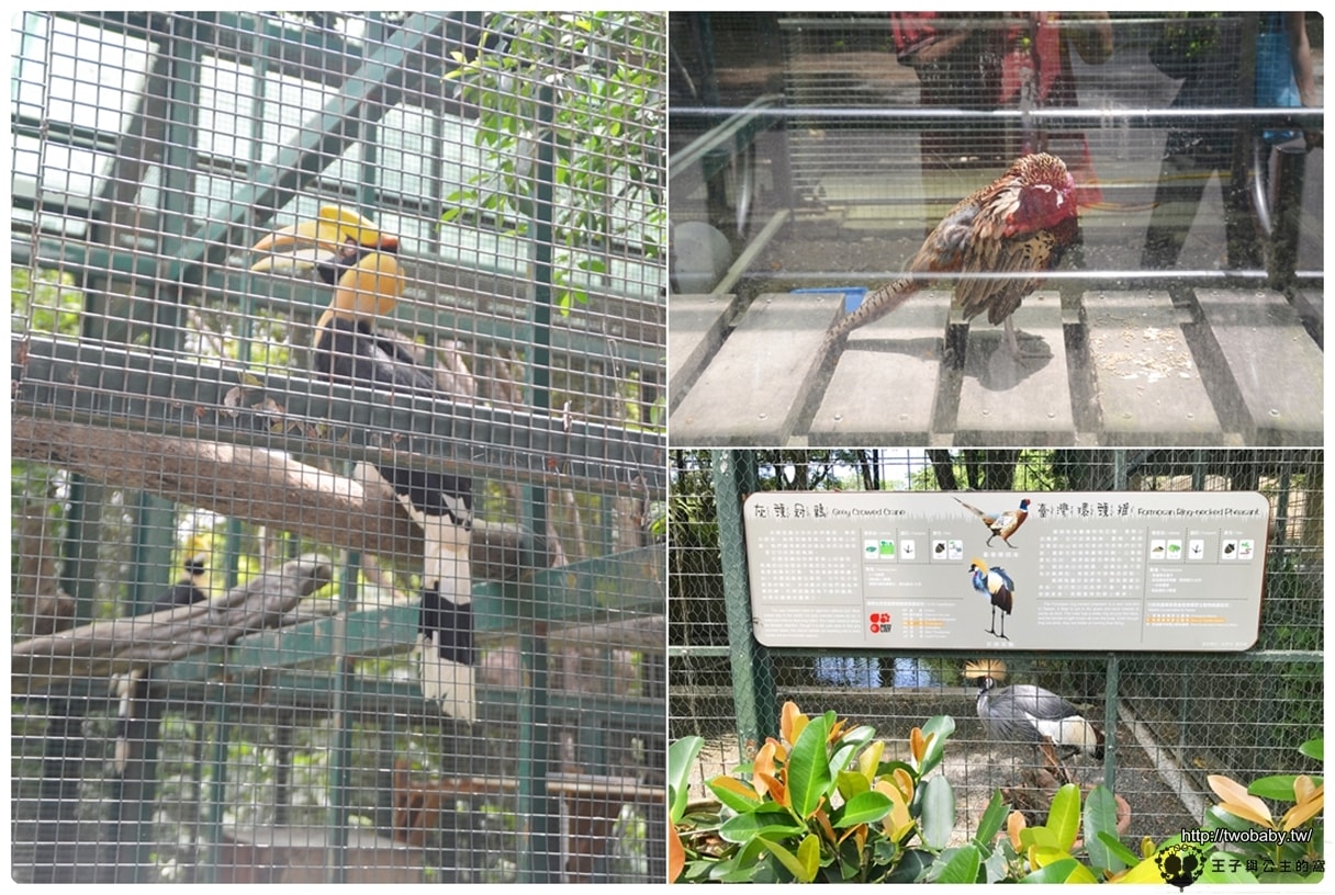 高雄親子景點|高雄市壽山動物園Shou Shan Zoo 小心獼猴出沒