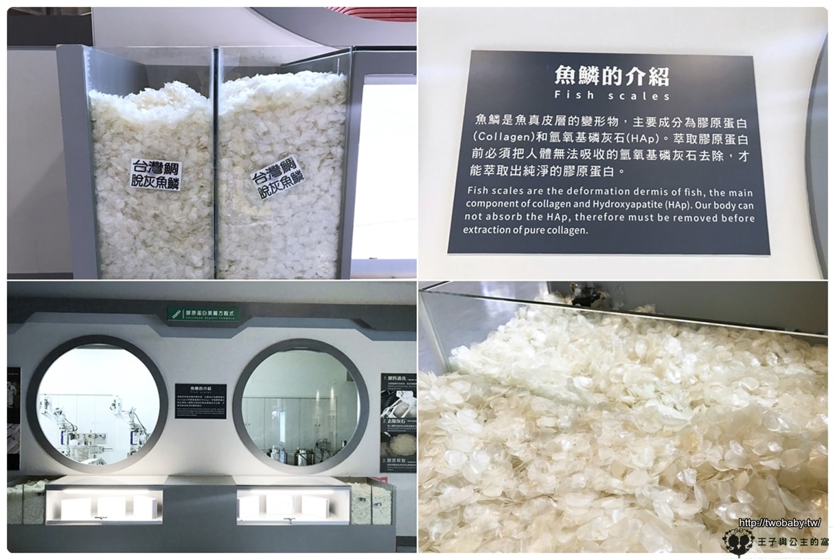 雲林口湖景點|台灣鯛生態創意園區 全台第一家以國寶魚「台灣鯛」為主題的觀光工廠