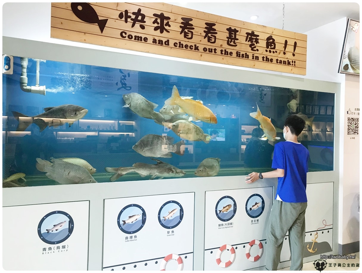 雲林口湖景點|台灣鯛生態創意園區 全台第一家以國寶魚「台灣鯛」為主題的觀光工廠