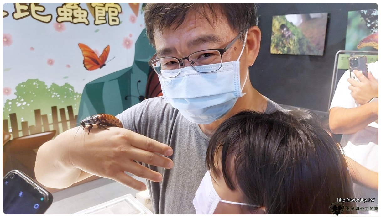 嘉義付費景點|親子景點|嘉大昆蟲館 大型昆蟲模型 溫室蝴蝶花園 還有近距離昆蟲體驗