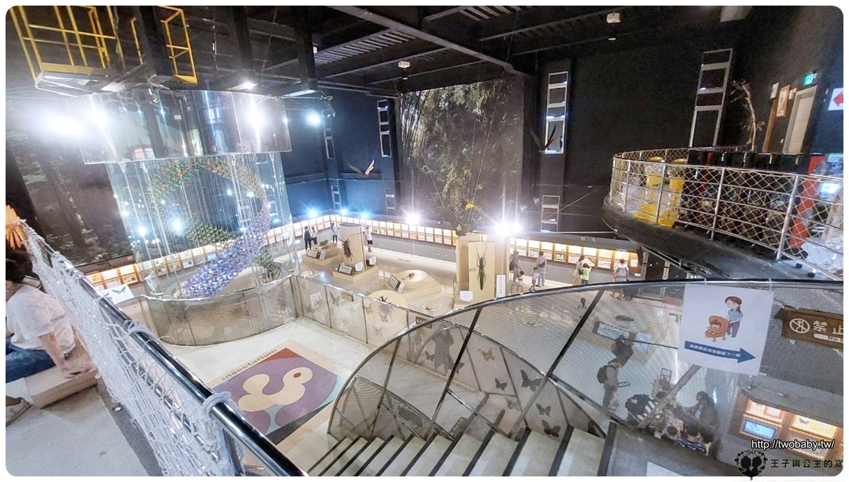 嘉義付費景點|親子景點|嘉大昆蟲館 大型昆蟲模型 溫室蝴蝶花園 還有近距離昆蟲體驗