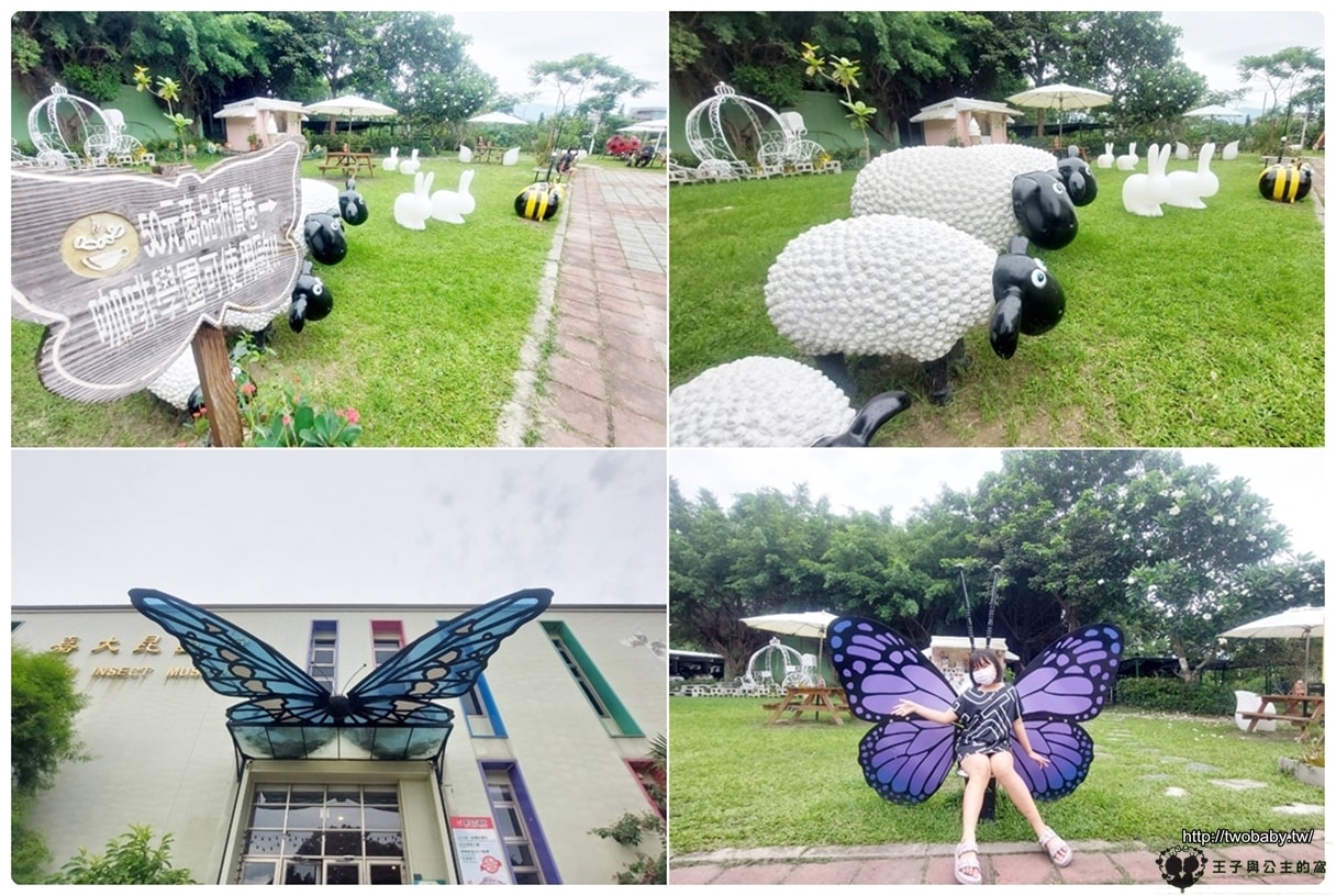 嘉義付費景點|親子景點|嘉大昆蟲館 大型昆蟲模型 溫室蝴蝶花園 還有近距離昆蟲體驗
