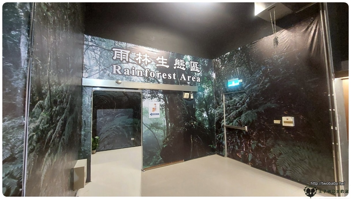 嘉義付費景點|親子景點|嘉大昆蟲館 大型昆蟲模型 溫室蝴蝶花園 還有近距離昆蟲體驗