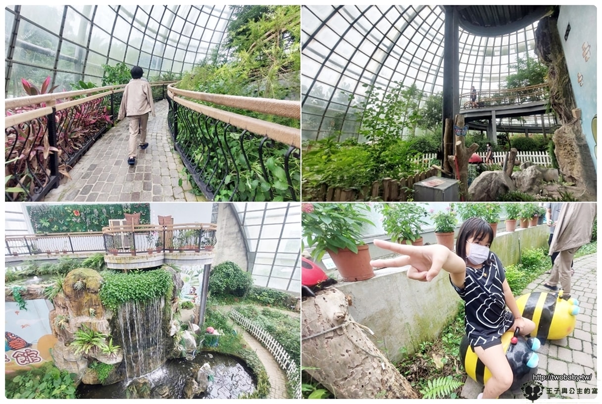 嘉義付費景點|親子景點|嘉大昆蟲館 大型昆蟲模型 溫室蝴蝶花園 還有近距離昆蟲體驗