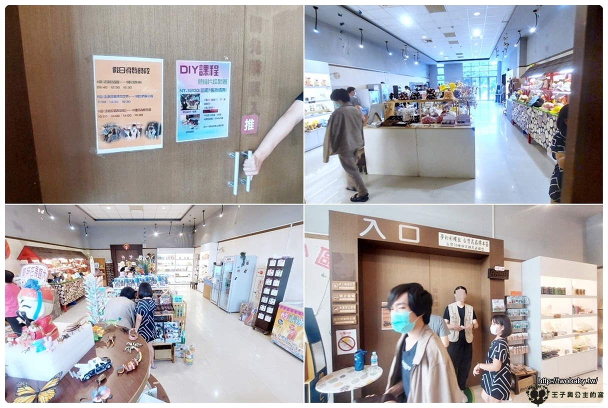 嘉義付費景點|親子景點|嘉大昆蟲館 大型昆蟲模型 溫室蝴蝶花園 還有近距離昆蟲體驗