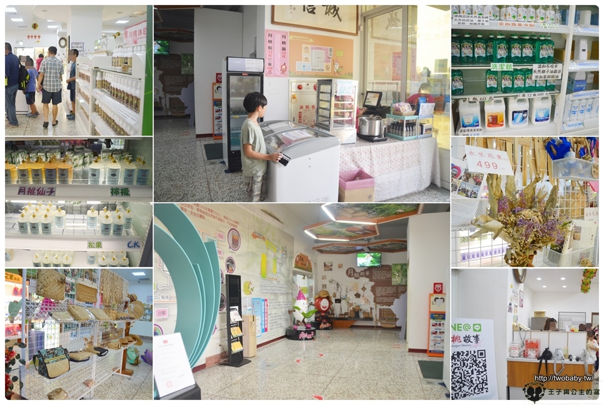 嘉義景點|嘉義月桃故事館 親子觀光工廠 DIY 嘉義市友善空間 展示著該植物的各式用途