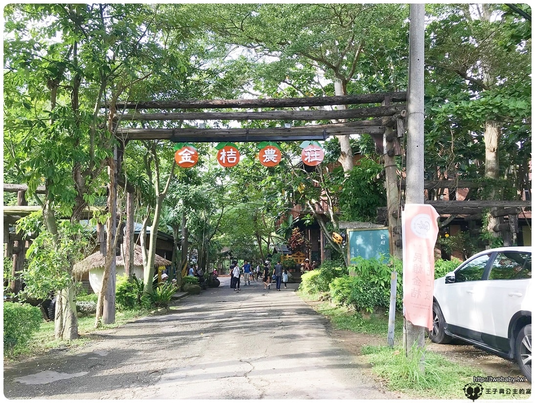 嘉義景點/民雄景點/免費景點|民雄金桔觀光工廠/ 金桔農莊 嘉義中正大學附近 孩子放風放電好去處