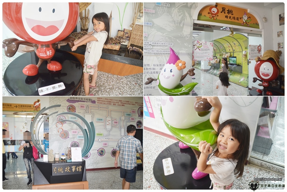 嘉義景點|嘉義月桃故事館 親子觀光工廠 DIY 嘉義市友善空間 展示著該植物的各式用途