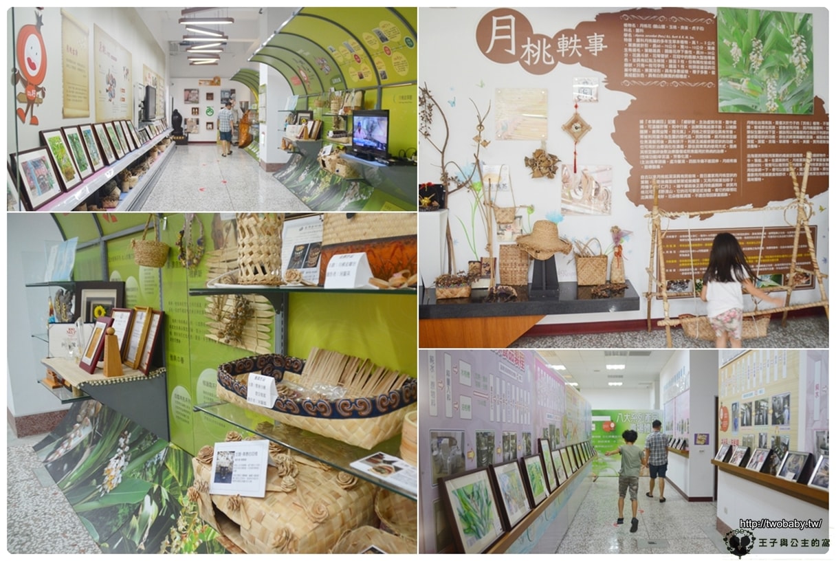 嘉義景點|嘉義月桃故事館 親子觀光工廠 DIY 嘉義市友善空間 展示著該植物的各式用途